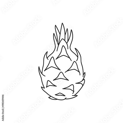 Minimalist Dragon Fruit Pitaya Line Art Vector Illustration