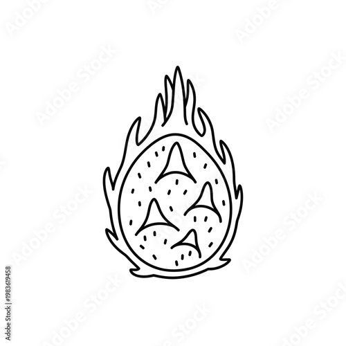 Dragon Fruit Pitaya Hand Drawn Vector Illustration Line Art