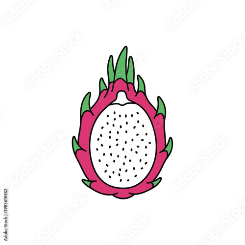 Half dragon fruit pitaya vector illustration on white background