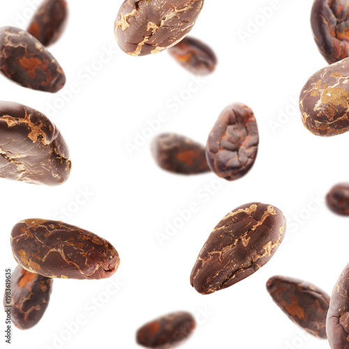 Many cocoa beans falling against white background