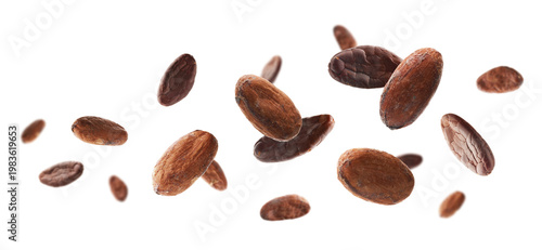 Many cocoa beans flying in air against white background