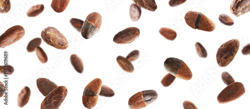 Many cocoa beans falling against white background