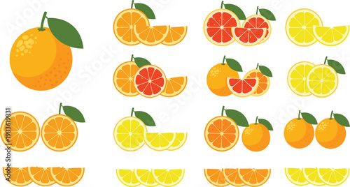 Citrus Fruit Collection with Oranges Lemons Grapefruit and Sliced Variations Fresh Juicy Healthy Food Vector Illustration Set