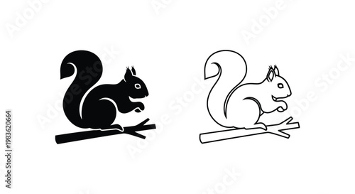 Black and White Squirrel Clip Art Designs Vector