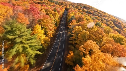Wallpaper Mural Aerial view of autumn road landscape. Torontodigital.ca