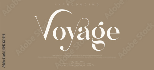Inspiring Voyage Travel Typography Logo Design