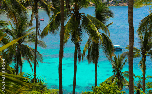 Relax on tropical island. Travel to the paradise sea beach with coconut palm trees.