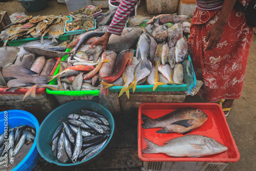 Various raw fishes in the morning market in Kedonganan - Passer Ikan, Jimbaran beach, Bali