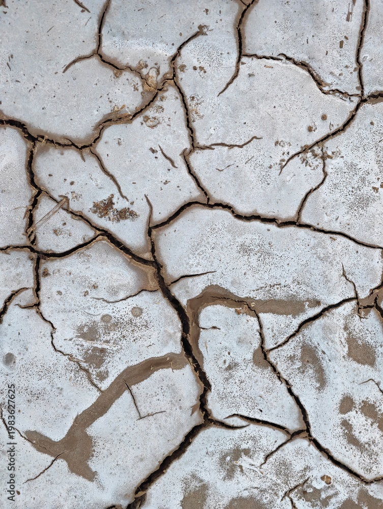 Obraz premium Dry cracked earth surface with salt crust deposits in desert