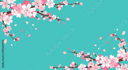 Beautiful pink cherry blossoms on turquoise background.