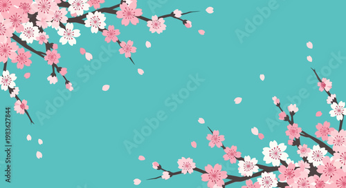 Beautiful cherry blossoms on turquoise background.