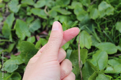 Human hand showing gesture on green natural background with copy space