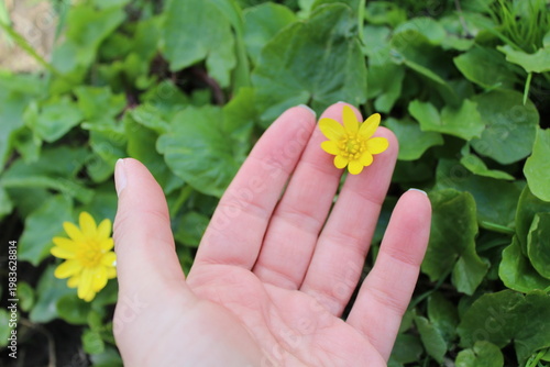 Human hand showing gesture on green natural background with copy space