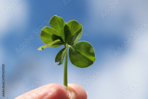 Four leaf clover in hand on blue sky background with copy space