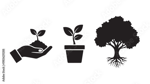 Vector Illustration Of Hand Holding Seedling, Potted Plant, And Mature Tree For Environmental Conservation And Growth Concept Isolated On Transparent Background