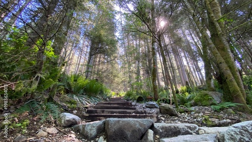 Schilderij op canvas Vancouver Grouse Grind trail