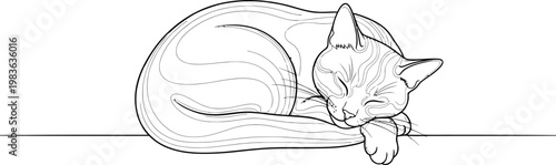 Artistic outline drawing of a cute tabby cat sleeping peacefully curled up on a surface.