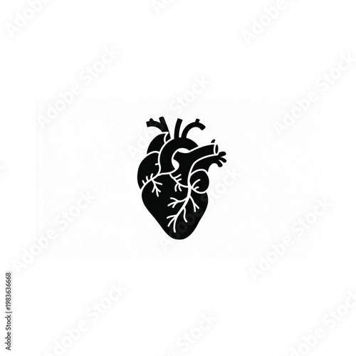 Anatomical heart illustration in black against a white background