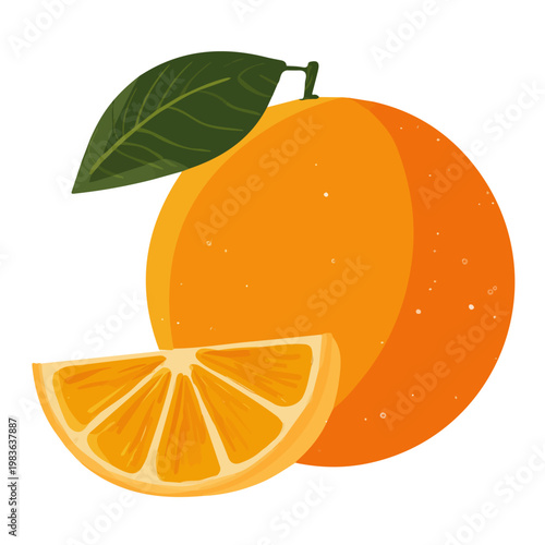 Bitter Orange, clean 2D vector flat illustration in minimal and modern style on a white background.