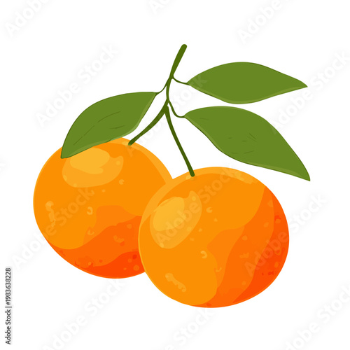 Mandarin, clean 2D vector flat illustration in minimal and modern style on a white background.