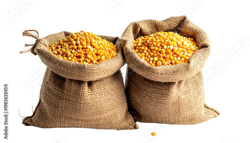 Two burlap sacks brimming with golden yellow dried corn kernels sit together