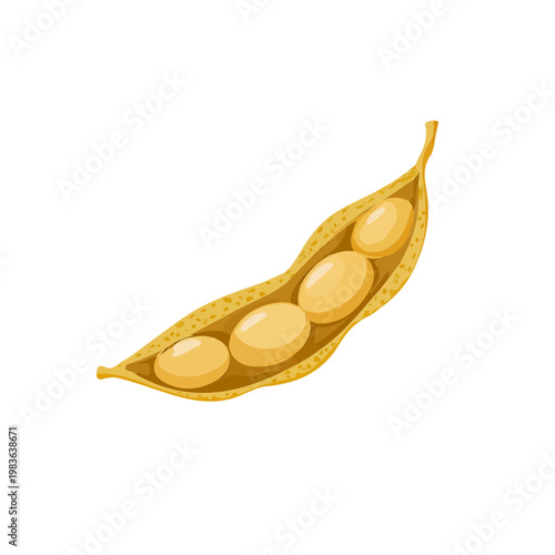 Soybean Pod, clean 2D vector flat illustration in minimal and modern style on a white background.