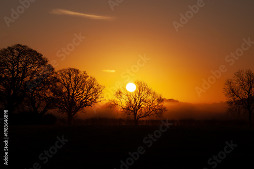 Misty golden sunrise and tree silhouette in Norfolk UK