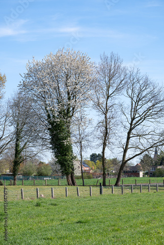 Rural landscape with fields in Mol
