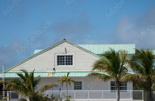 Tropical coastal house with palm trees under blue sky