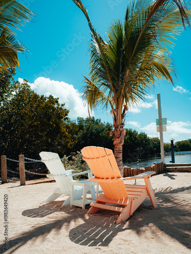 Colorful Adirondack chairs under palm tree by the water on sunny day
