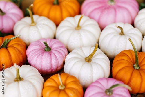 Colorful Pumpkins Arranged on a Table for Autumn Season Decoration