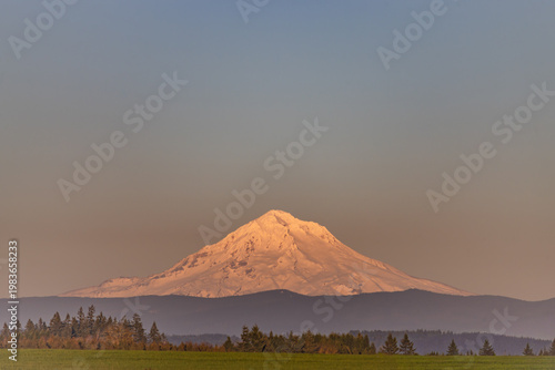 Snow-capped mountain peak bathed in warm golden sunrise light. Green grassy field in foreground. Dark forest line beneath distant hills. Clear sky gradients from blue to soft orange