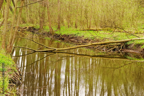 Poznań Cybina River Valley, protected nature area, spring view 1926