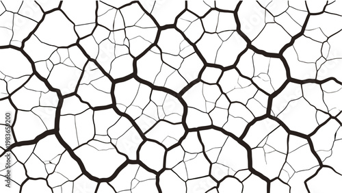 Abstract Cracked Earth Texture Vector, Black and White Dry Ground Pattern, Parched Soil Illustration