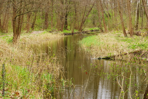 Poznań Cybina River Valley, protected nature area, spring view 1926