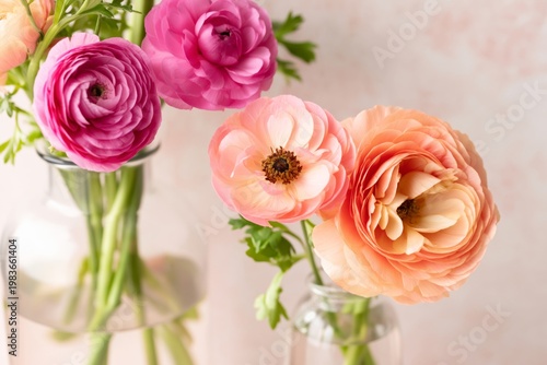 Colorful Ranunculus Flowers in Glass Vases on a Light Background for Decoration