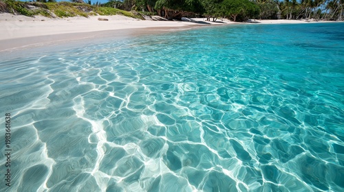 Clear Water Reflects Sunlight on a Sandy Beach in a Tropical Location During ...