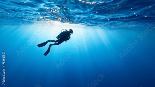 Diver Explores the Underwater World in a Clear Blue Ocean During Bright Daylight