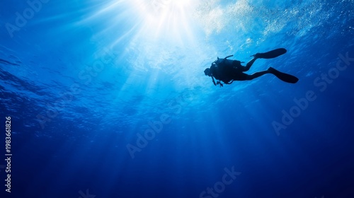 Diver Explores Underwater Scene in Clear Blue Ocean During Daytime