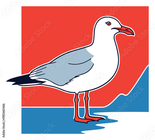 Seagull illustration on a vibrant red and blue background