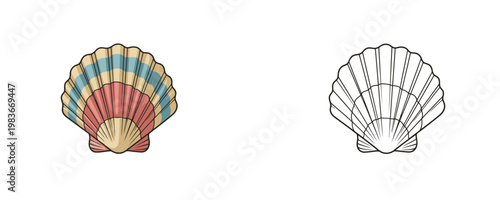 Scallop sea shell illustrations in flat color and black line styles showing nautical bivalve mollusk in red blue and yellow tones on white background for marine design