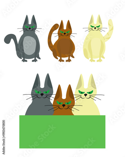 Vector flat illustration set of three grumpy cats in different colors: grey, brown ginger, and cream white