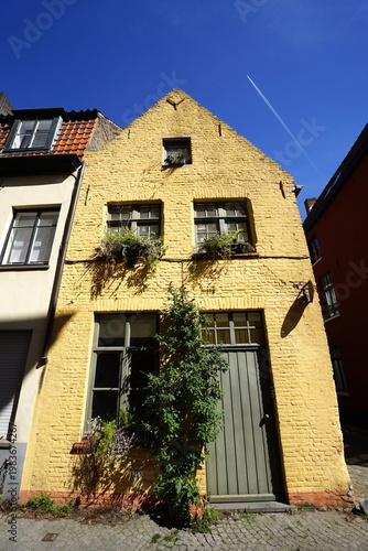 Altes Haus in Beige und Naturfarben mit Holztür, Sprossenfenster und begrünter Fassade bei Sonnenschein in der Altstadt der Unesco Welterebestadt Brügge in Westflandern in Belgien