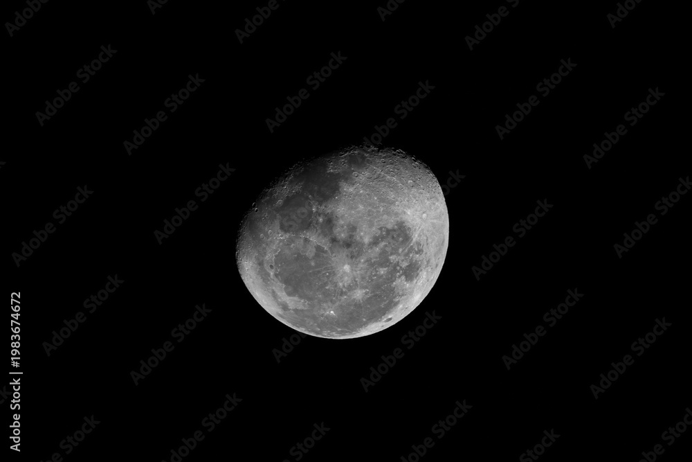 Obraz premium full moon in the night