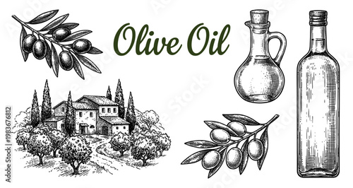Vintage olive oil engraving with bottle branch and farm landscape