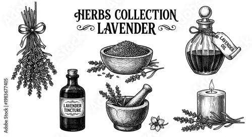 Lavender botanical set essential oil bottle candle vintage engraving