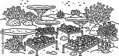 World environment day protecting underwater ecosystems coral reefs and marine life conservation