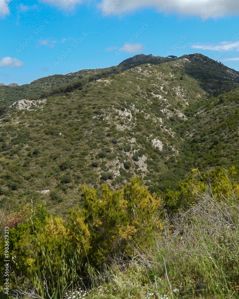 Fototapeta premium Green mediterranean hills and blue sky over tuscany
