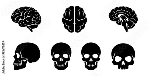 Human brain and skull icons, medical anatomy vector set, black silhouette head symbols