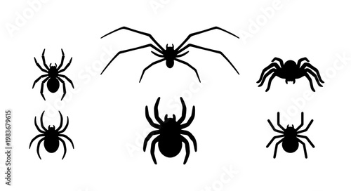 Black spider silhouettes set, 6 insect vector icons, Halloween arachnid illustrations